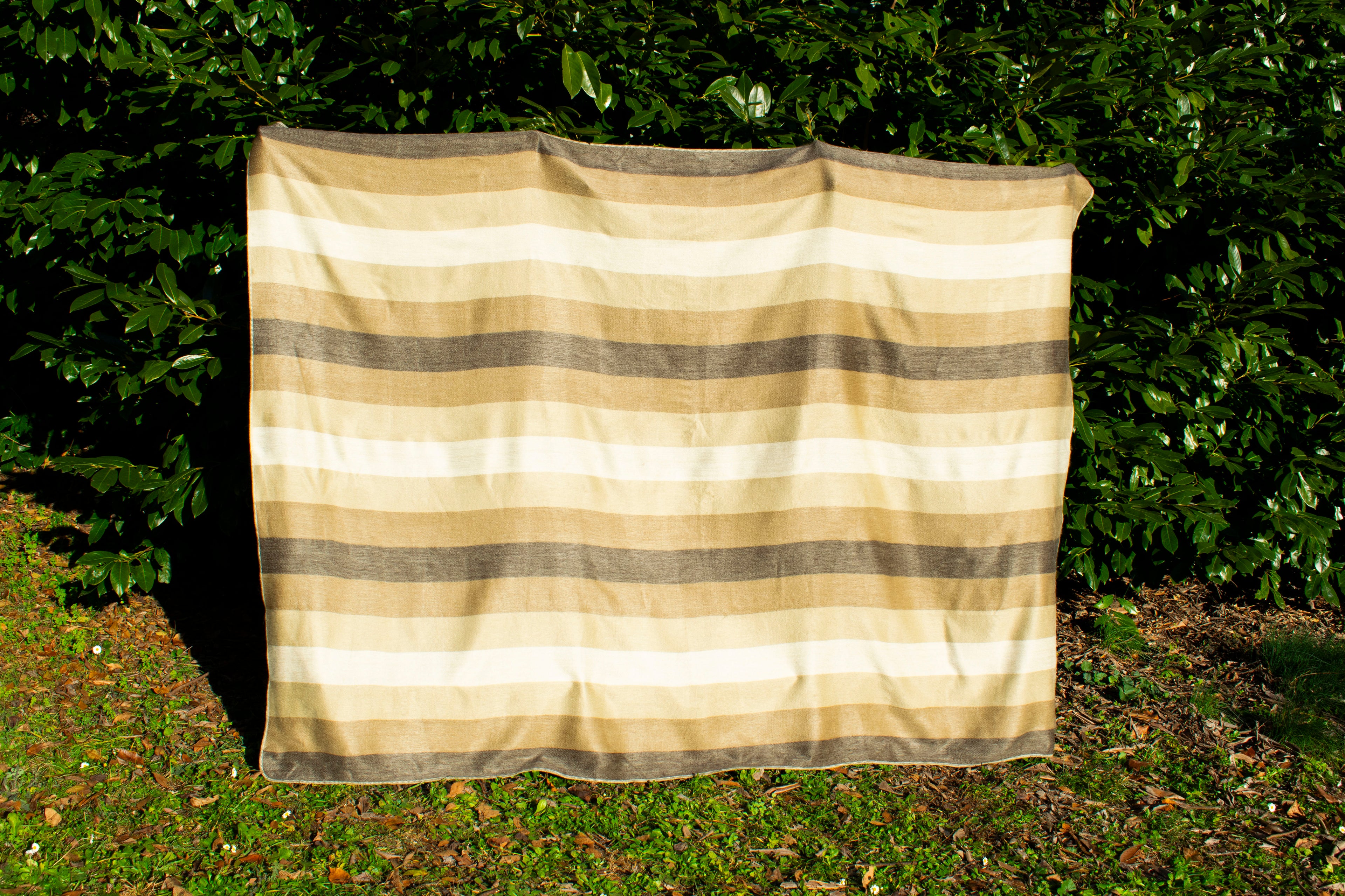 Plaid Lana di Alpaca