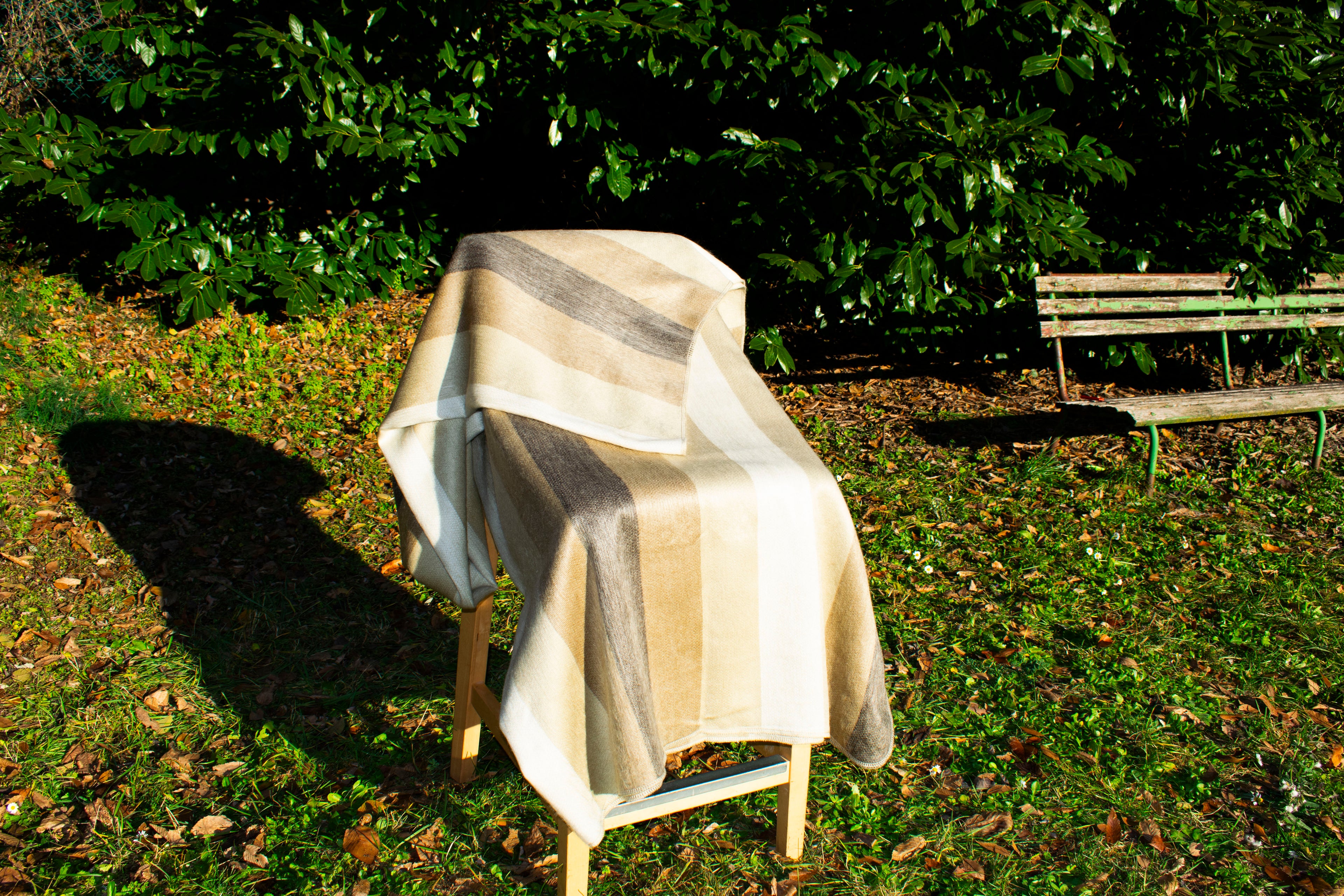 Plaid Lana di Alpaca