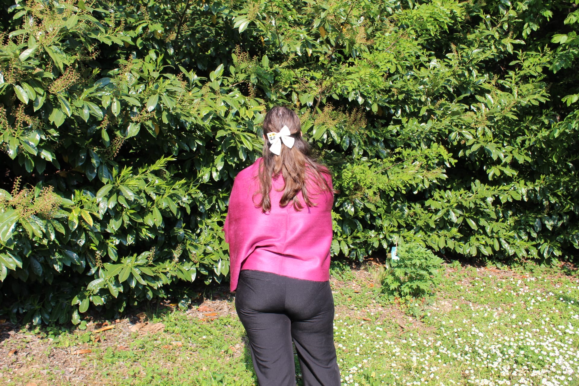 Sciarpe in Lana di Alpaca