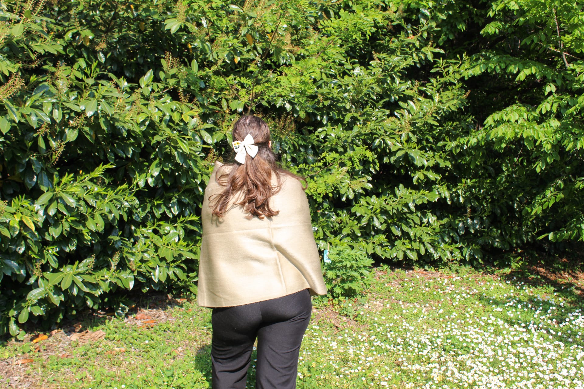 Sciarpa in Lana di Alpaca
